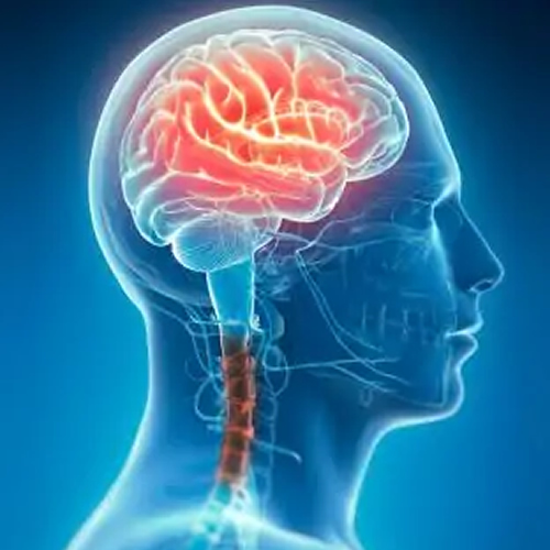 odontologia biológica Curitiba